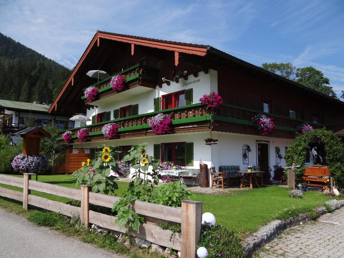 - Alpenstern 3*